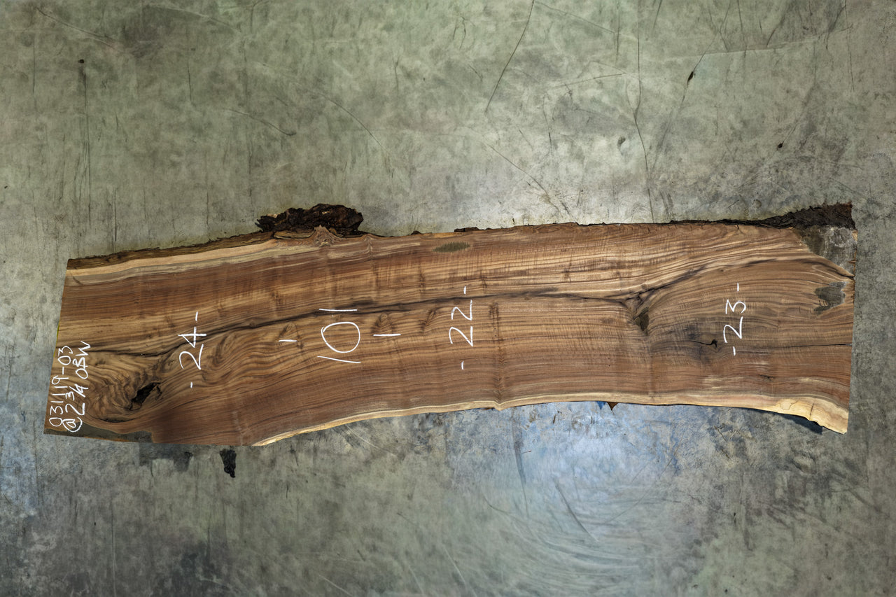Oregon Black Walnut Slab 031119-03