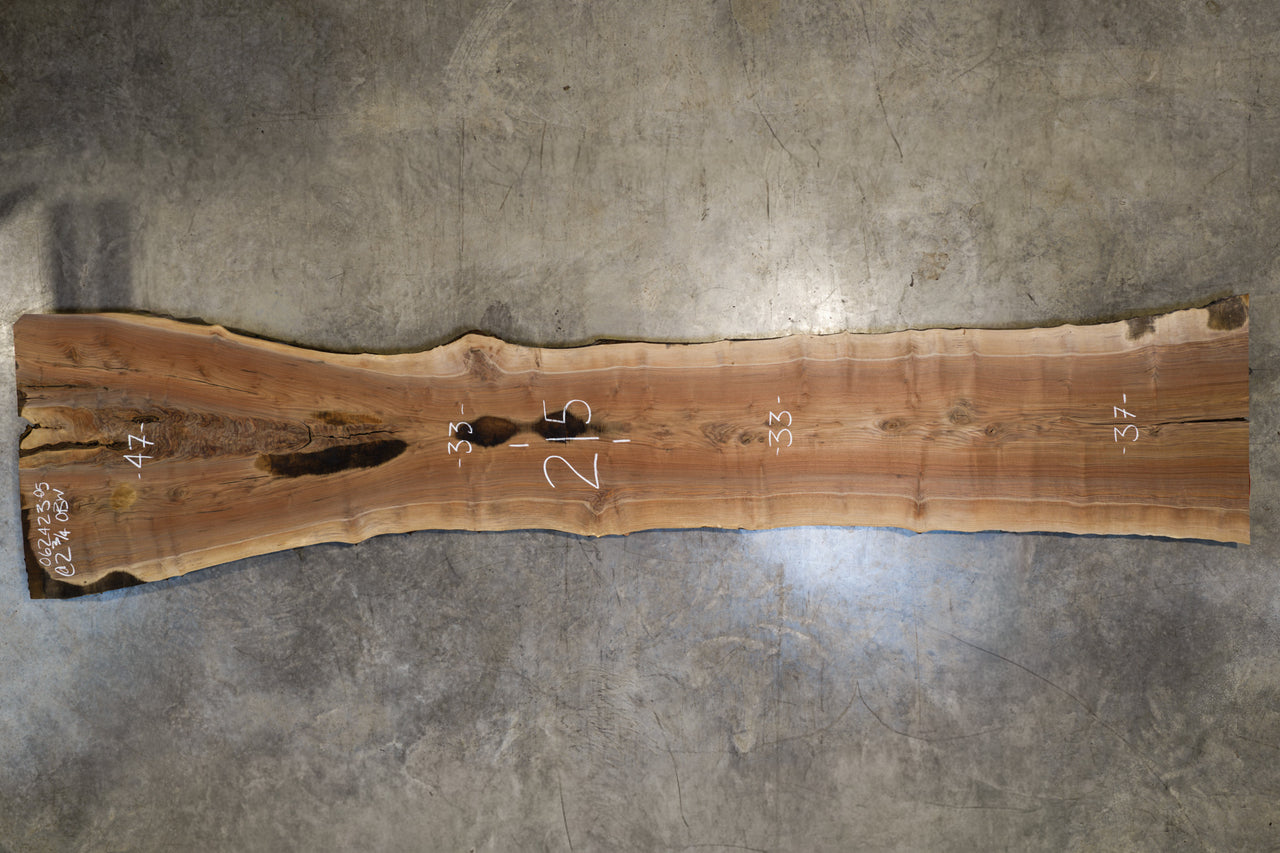 Oregon Black Walnut Slab 062423-05