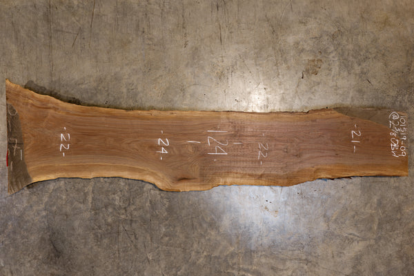 Oregon Black Walnut Slab 101519-09