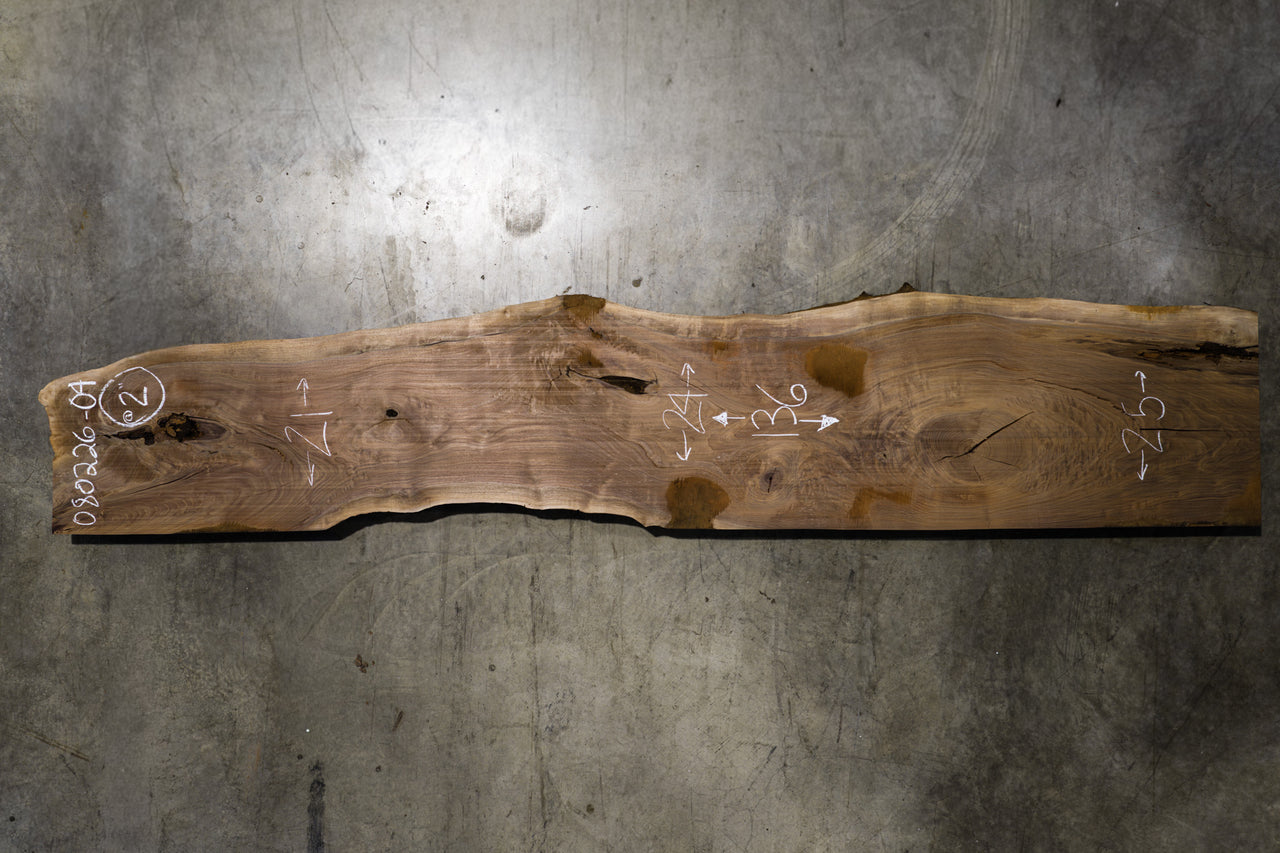 Oregon Black Walnut Slab 080226-04