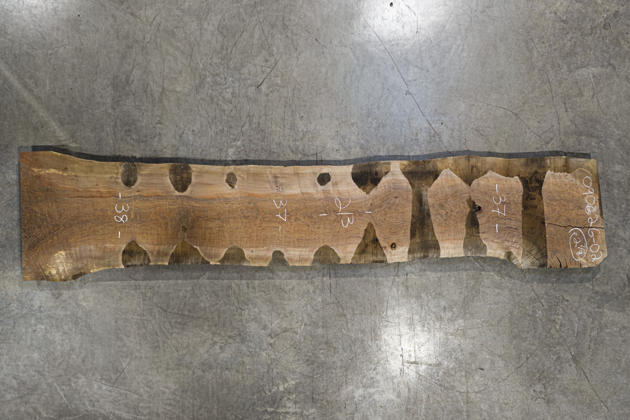 Oregon Black Walnut Slab 090626-02