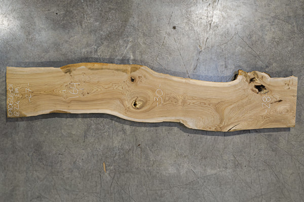 Elm Slab 090626-01