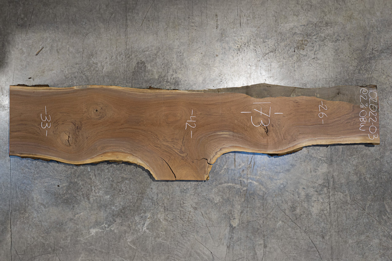 Oregon Black Walnut Slab 102022-03