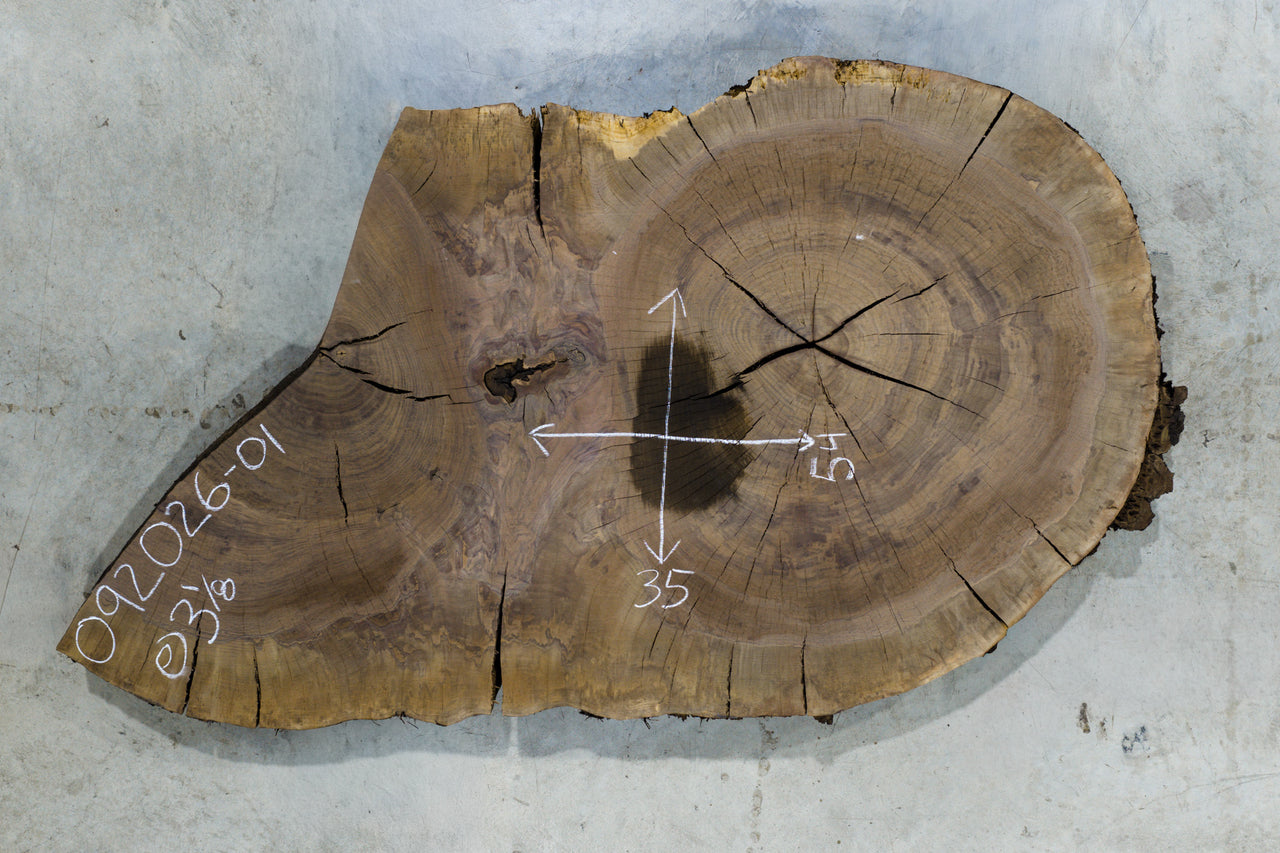 Oregon Black Walnut Burl Round 092026-01