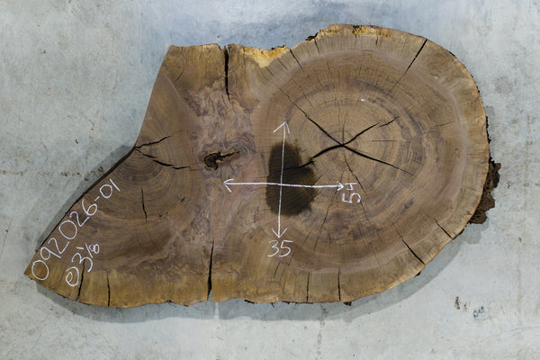 Oregon Black Walnut Burl Round 092026-01