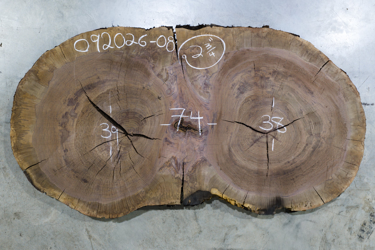 Oregon Black Walnut Burl Round 092026-08