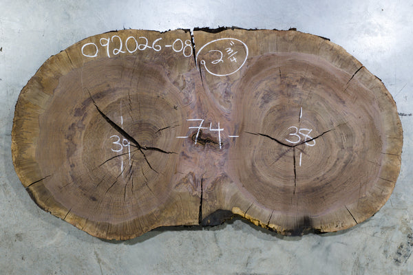 Oregon Black Walnut Burl Round 092026-08