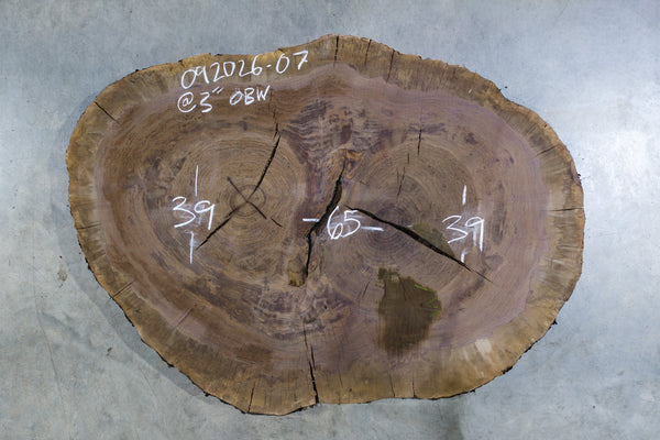 Oregon Black Walnut Burl Round 092026-07