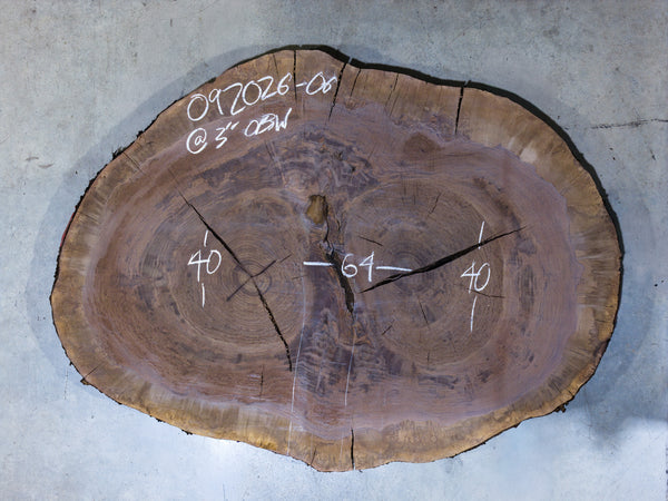 Oregon Black Walnut Burl Round 092026-06
