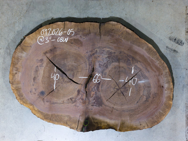 Oregon Black Walnut Burl Round 092026-05
