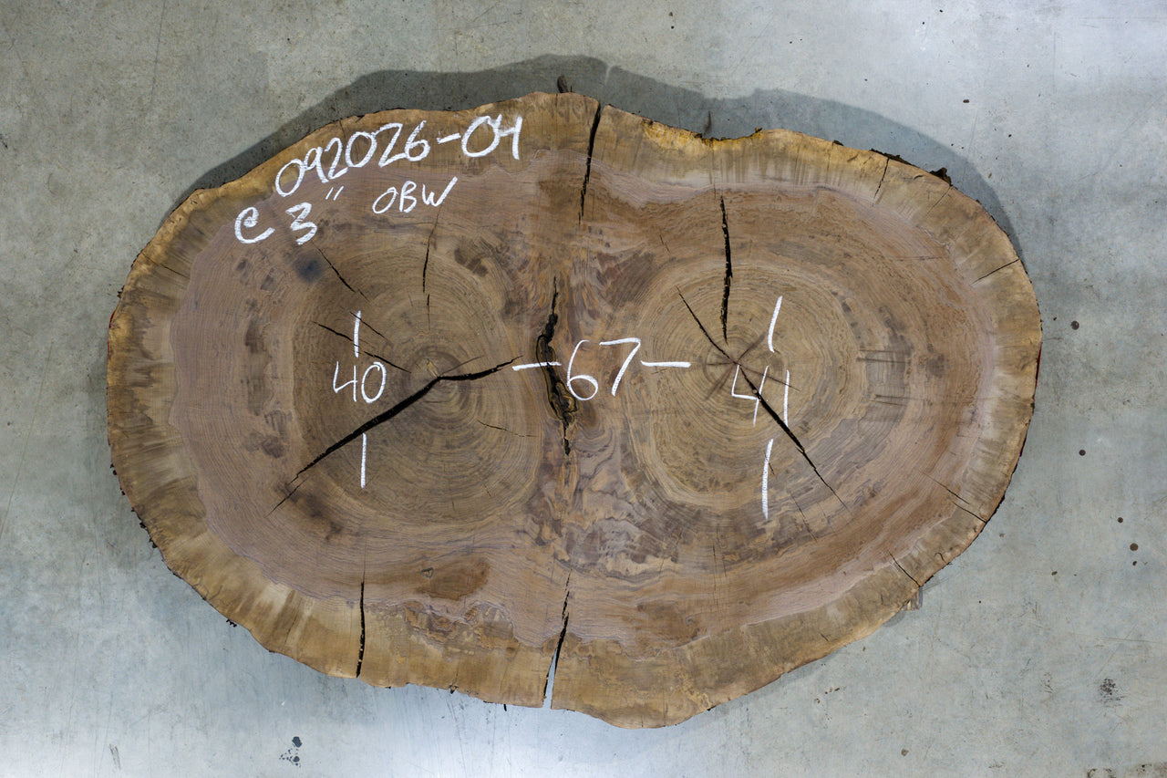 Oregon Black Walnut Burl Round 092026-04