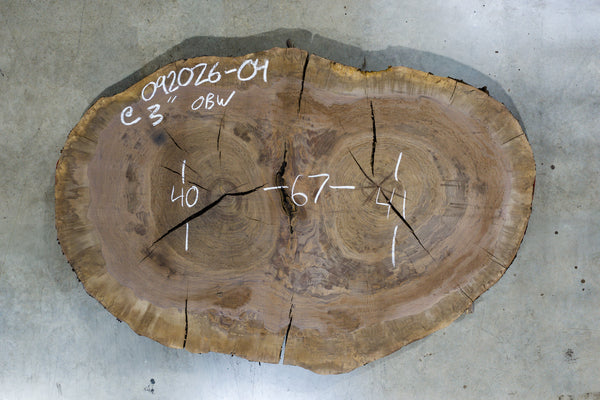 Oregon Black Walnut Burl Round 092026-04