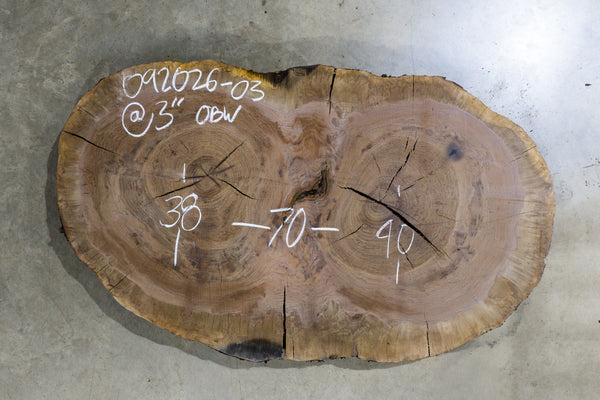 Oregon Black Walnut Burl Round 092026-03