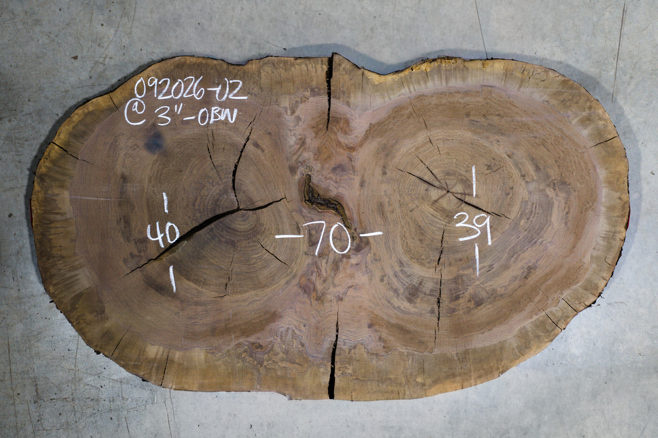 Oregon Black Walnut Burl Round 092026-02