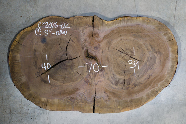 Oregon Black Walnut Burl Round 092026-02