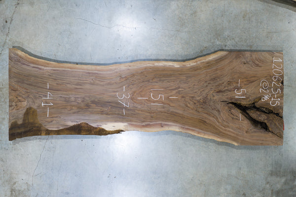 Oregon Black Walnut Slab 120625-15