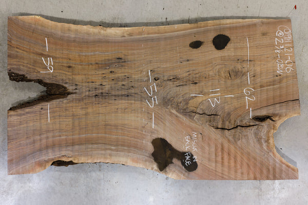 Oregon Black Walnut Slab 091121-06