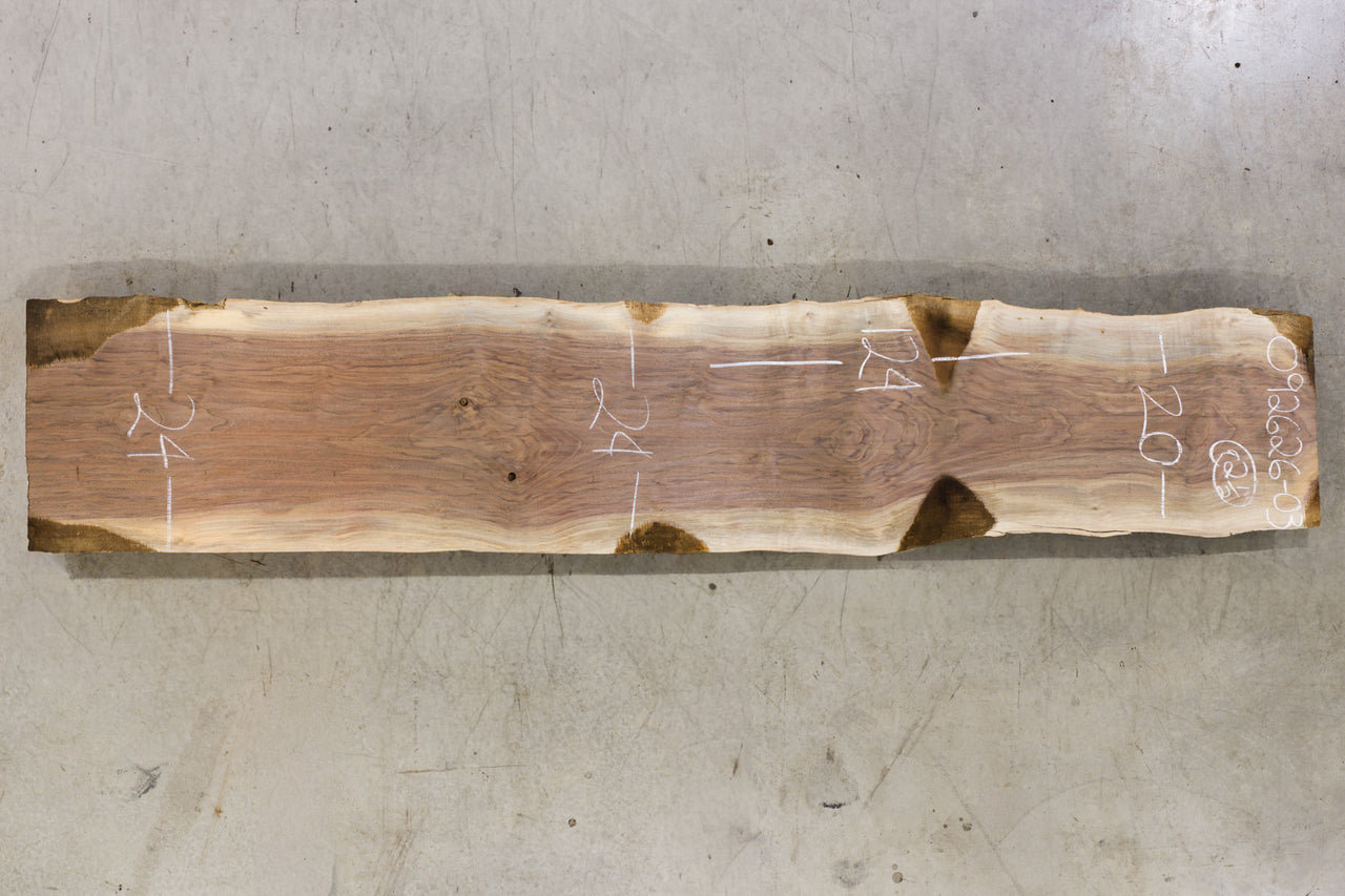 Oregon Black Walnut Slab 062626-03