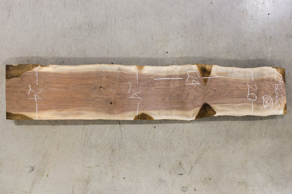 Oregon Black Walnut Slab 062626-03