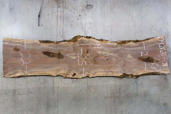 Oregon Black Walnut Slab 062626-01
