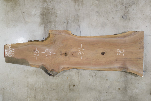 Oregon Black Walnut Slab 083021-10