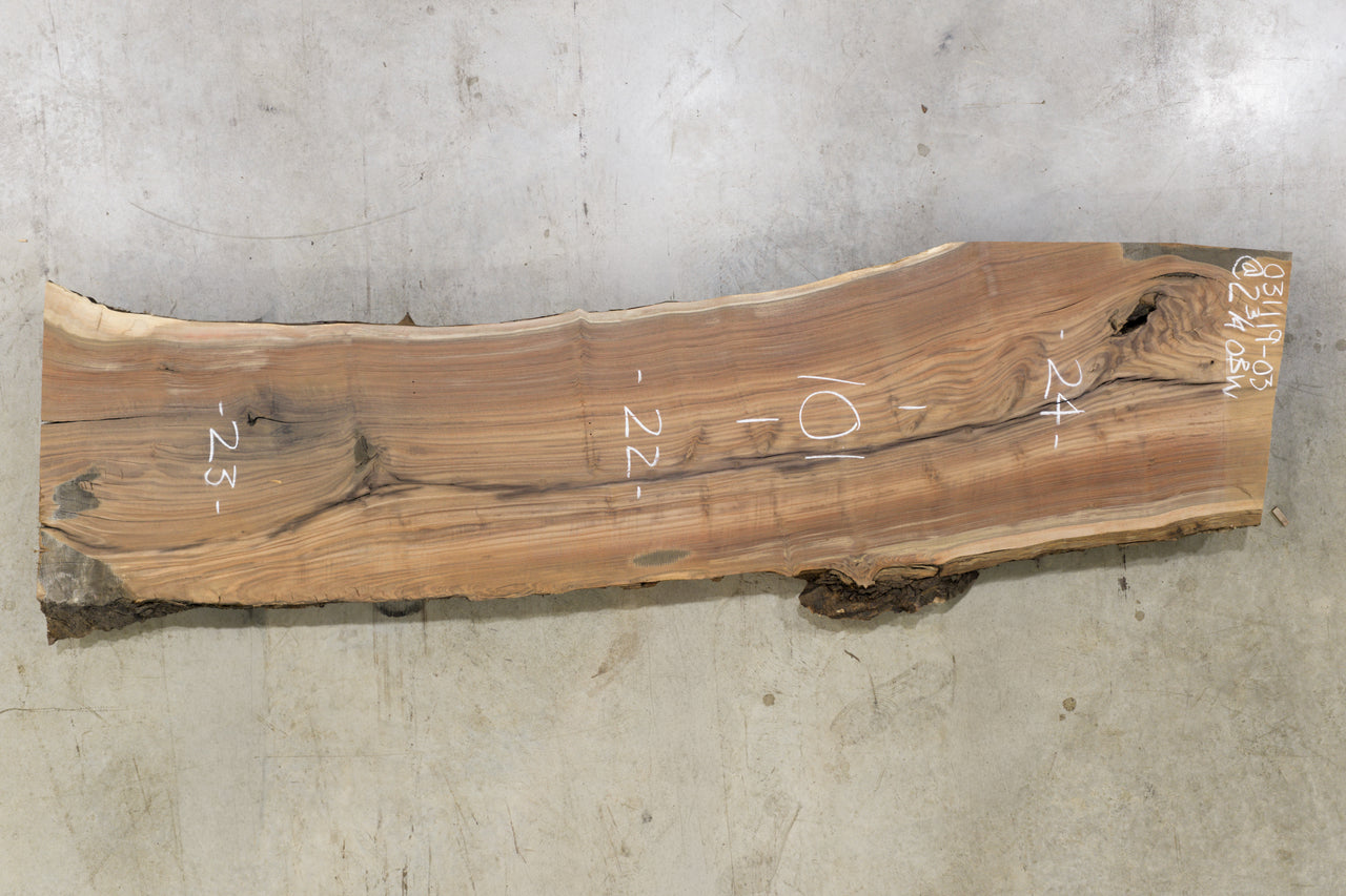 Oregon Black Walnut Slab 031119-03