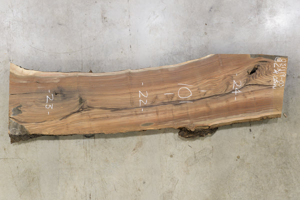 Oregon Black Walnut Slab 031119-03