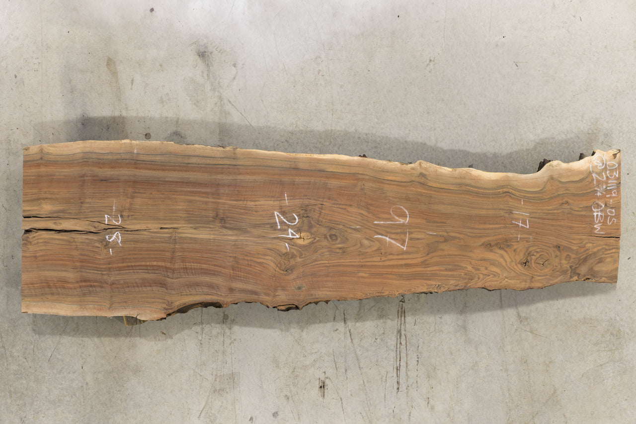 Oregon Black Walnut Slab 031119-05