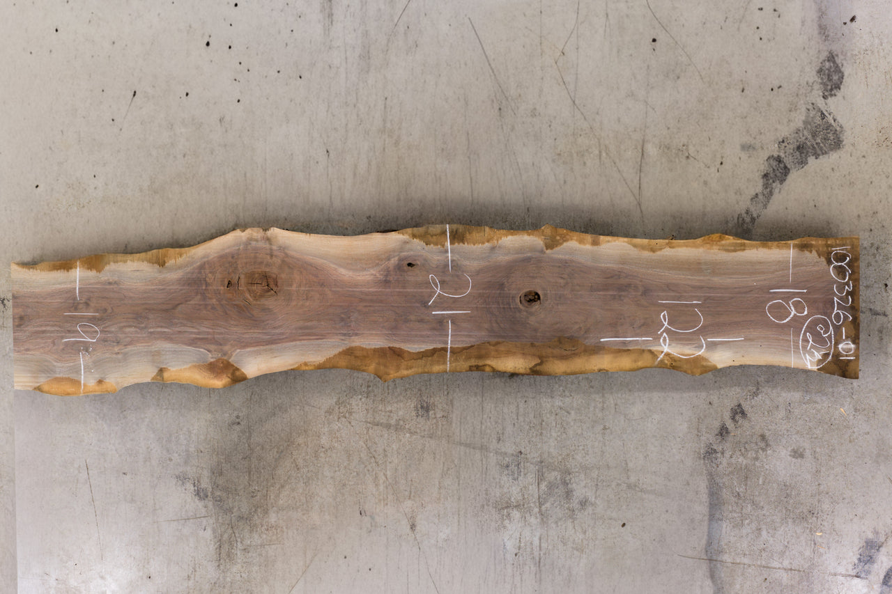 Oregon Black Walnut Slab 100326-01