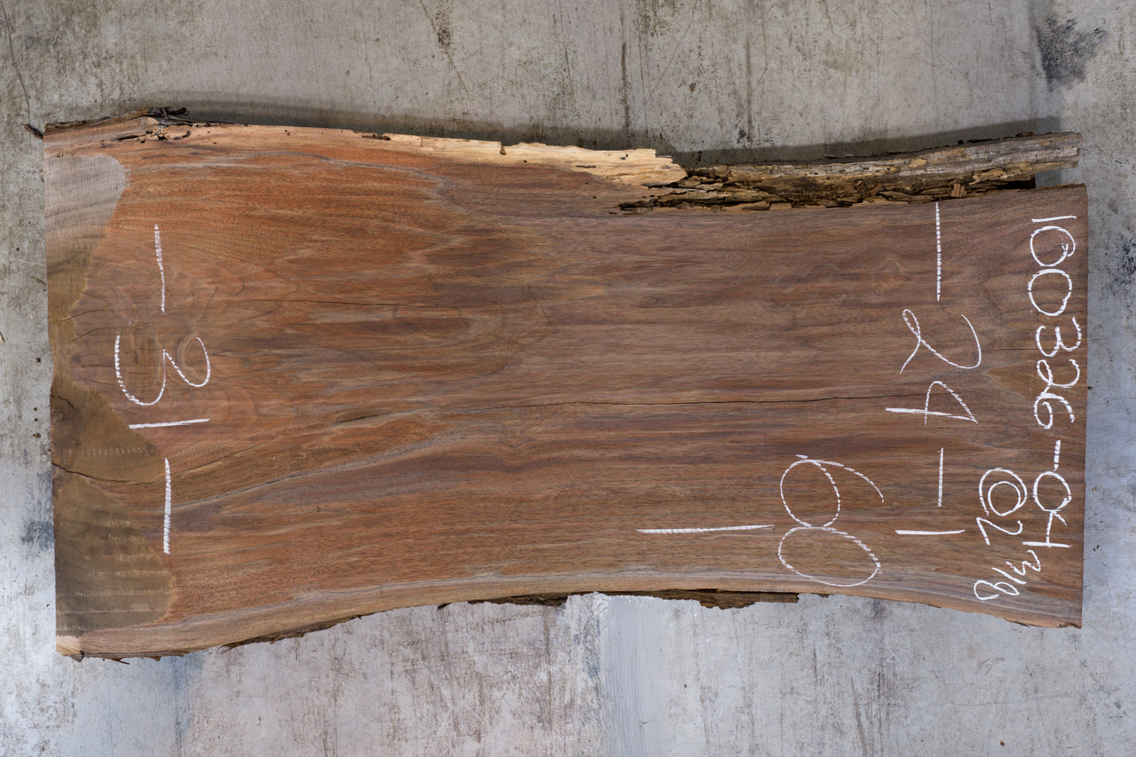 Oregon Black Walnut Slab 100326-04