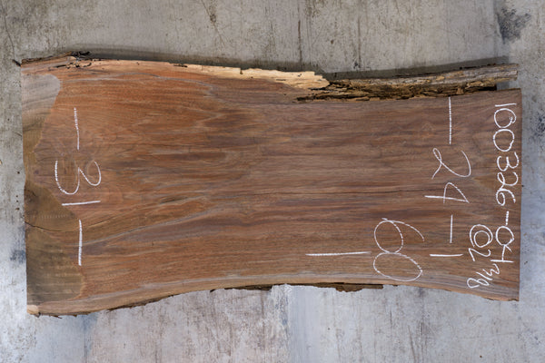 Oregon Black Walnut Slab 100326-04