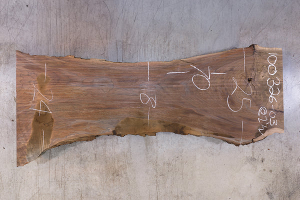 Oregon Black Walnut Slab 100326-03
