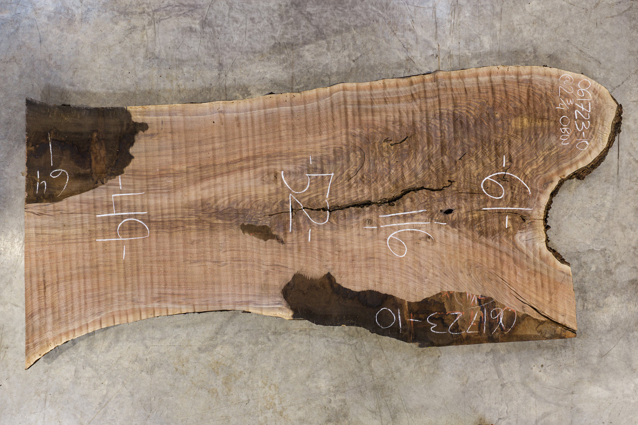 Oregon Black Walnut Slab 061723-10