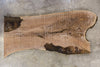 Oregon Black Walnut Slab 061723-10