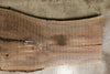 Oregon Black Walnut Slab 120625-07