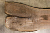 Oregon Black Walnut Slab 120625-07