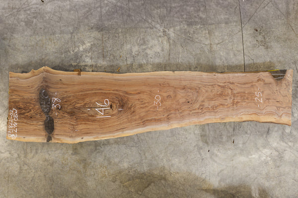 Oregon Black Walnut Slab 071822-02