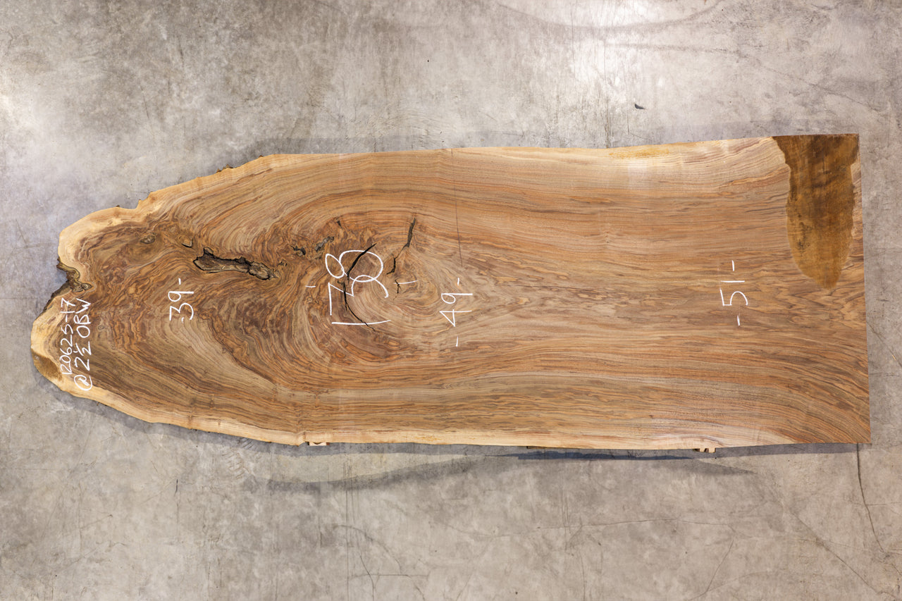 Oregon Black Walnut Slab 120625-17