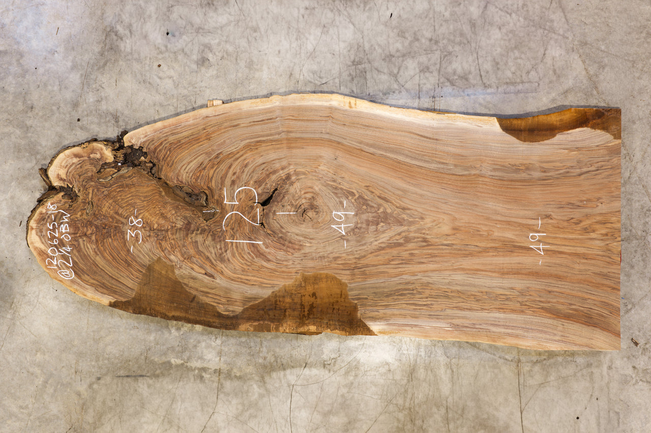 Oregon Black Walnut Slab 120625-18