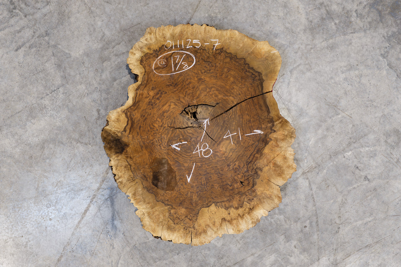 Oregon Black Walnut Burl Round 011125-7