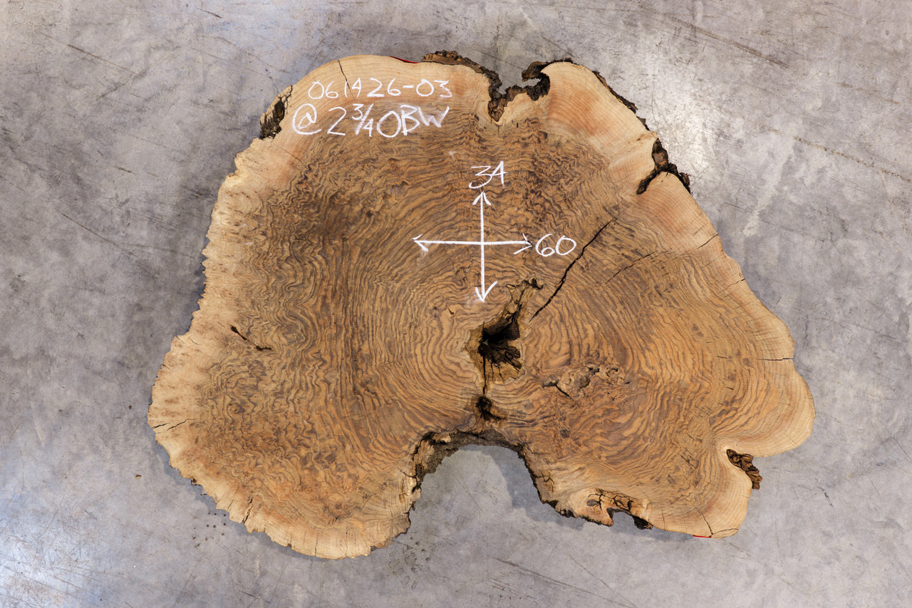 Oregon Black Walnut Burl Round 061526-03