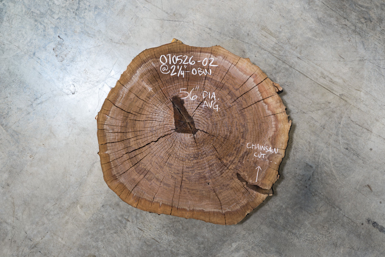 Oregon Black Walnut Burl Round 070526-02