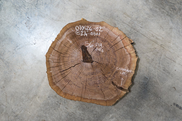 Oregon Black Walnut Burl Round 070526-02