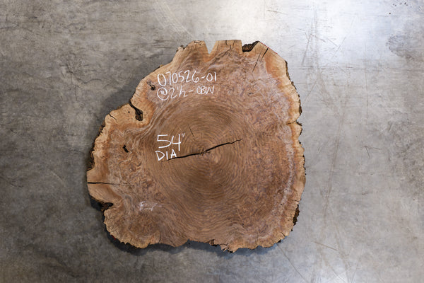 Oregon Black Walnut Burl Round 070526-01