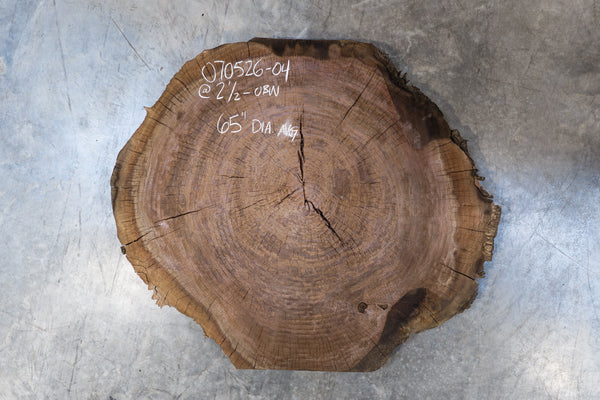 Oregon Black Walnut Burl Round 070526-04