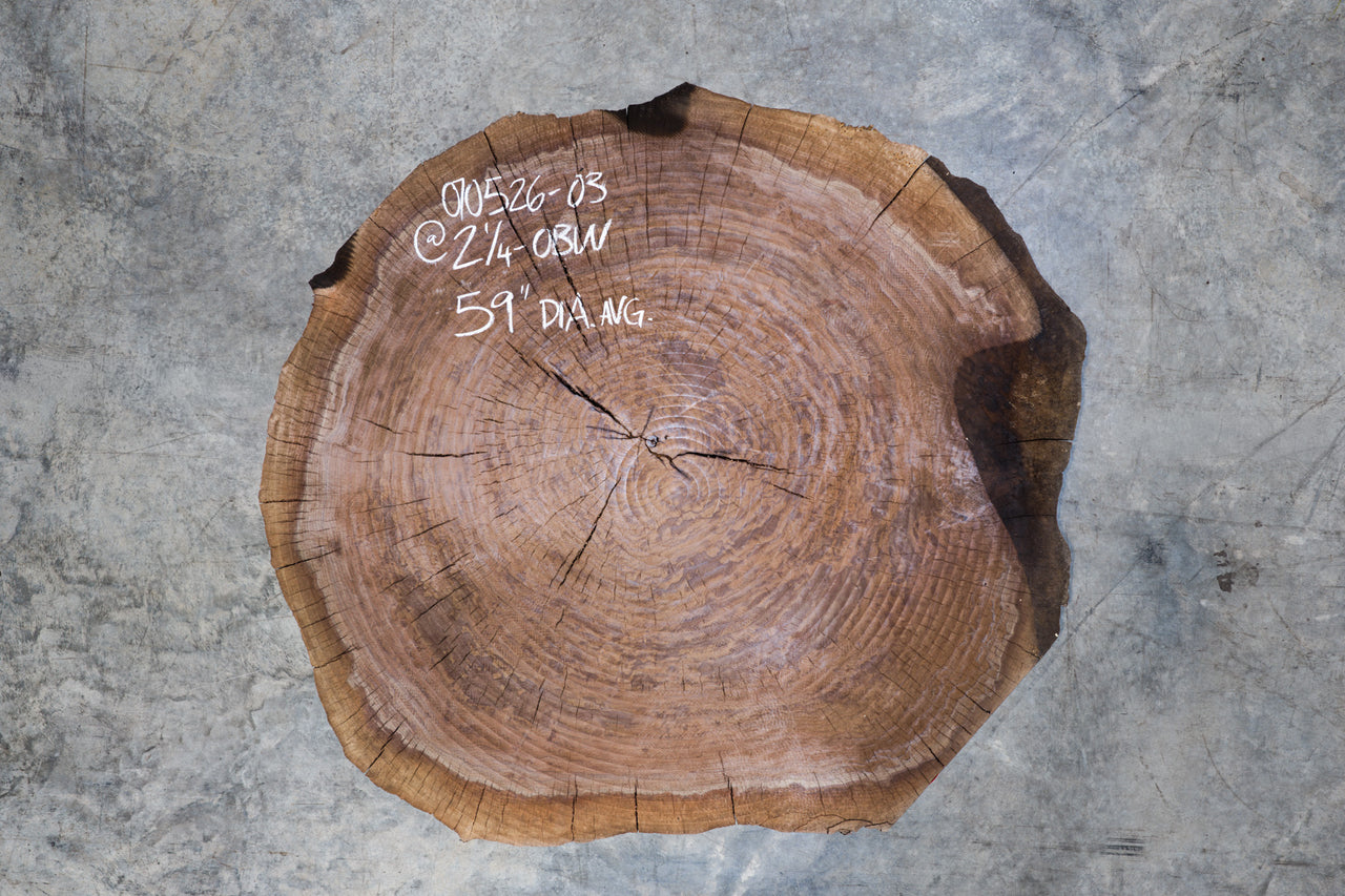 Oregon Black Walnut Burl Round 070526-03