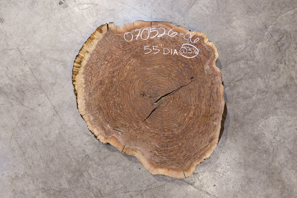 Oregon Black Walnut Burl Round 070526-06