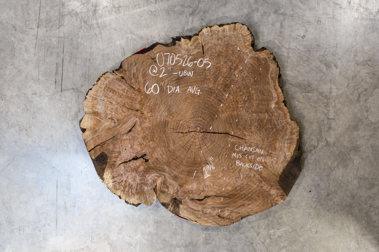Oregon Black Walnut Burl Round 070526-05