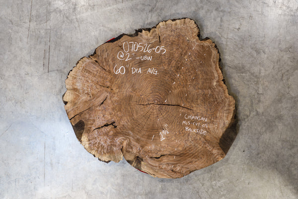 Oregon Black Walnut Burl Round 070526-05