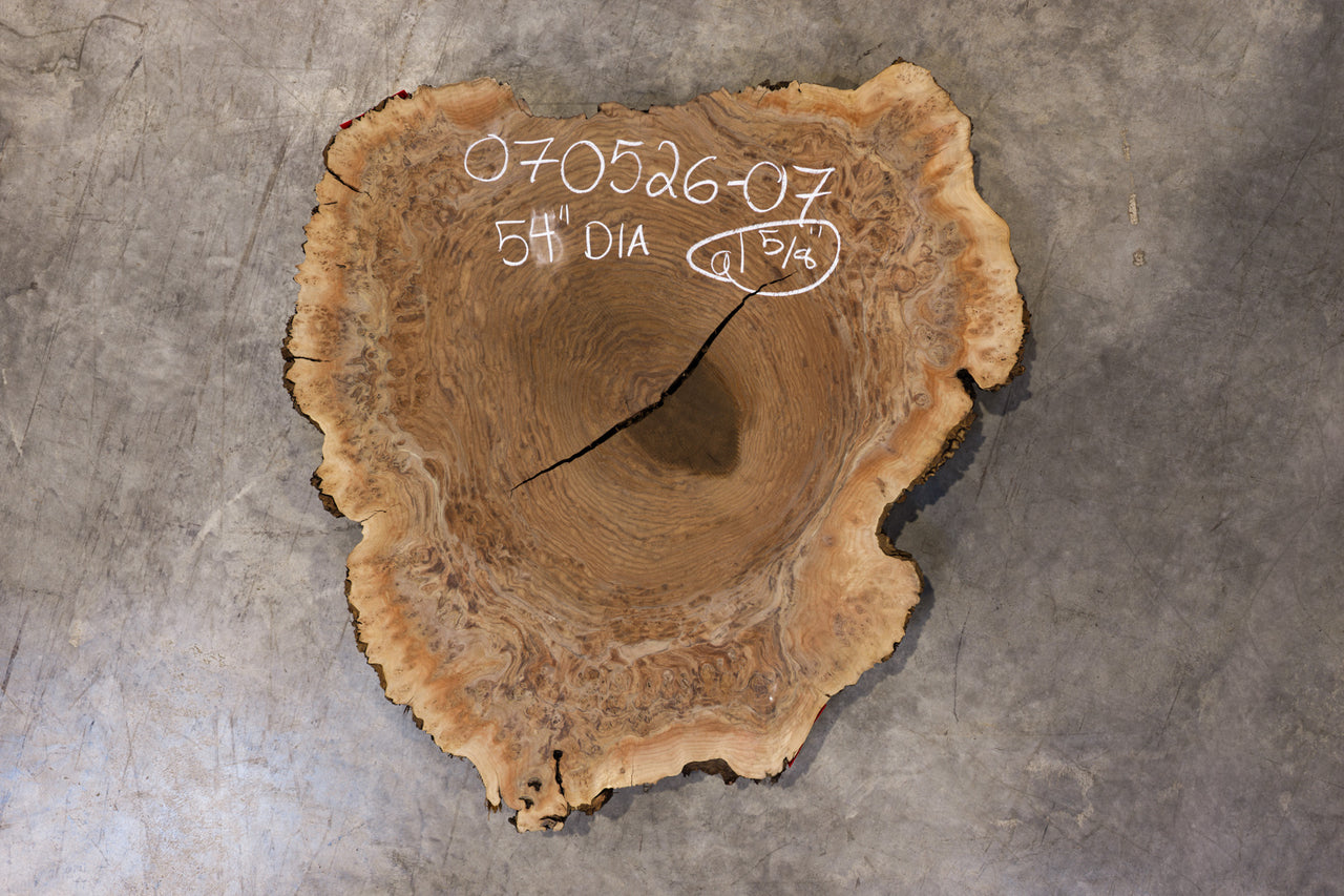 Oregon Black Walnut Burl Round 070526-07